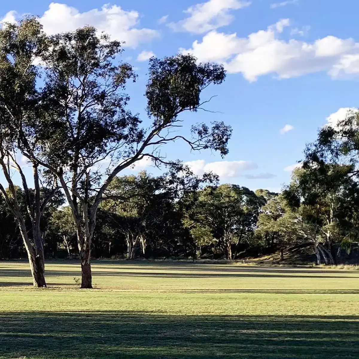 Ashford Golf Club 2